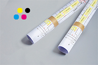 CAD-Plot in Farbe gerollt
